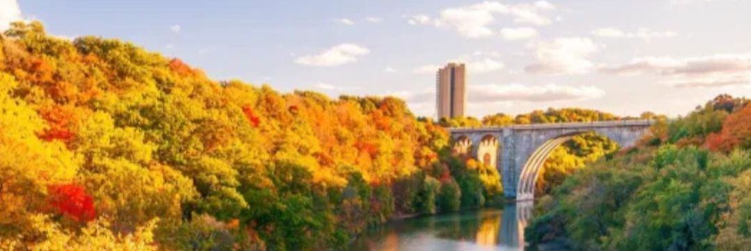 Autumn view of a river framed by colorful trees and an arched bridge, highlighting vibrant fall foliage and nature's beauty.
