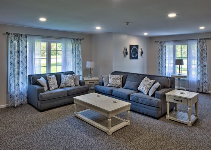 Cozy living room with gray sofas and patterned curtains, highlighting stylish decor in natural light.